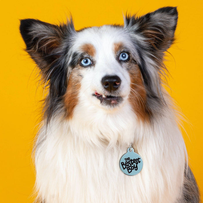 The Bestest Boy - Personalized Dog ID Tag - Dog.Dog.Cat.