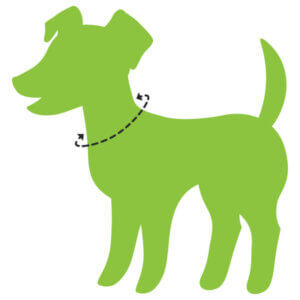 Ecoweave Custom Collar-Lake Tahoe with Plastic Buckle - Dog.Dog.Cat.