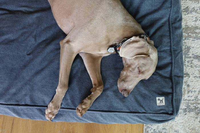 Molly Mutt - Dragonstone Organic Cotton Dog Duvet - Dog.Dog.Cat.