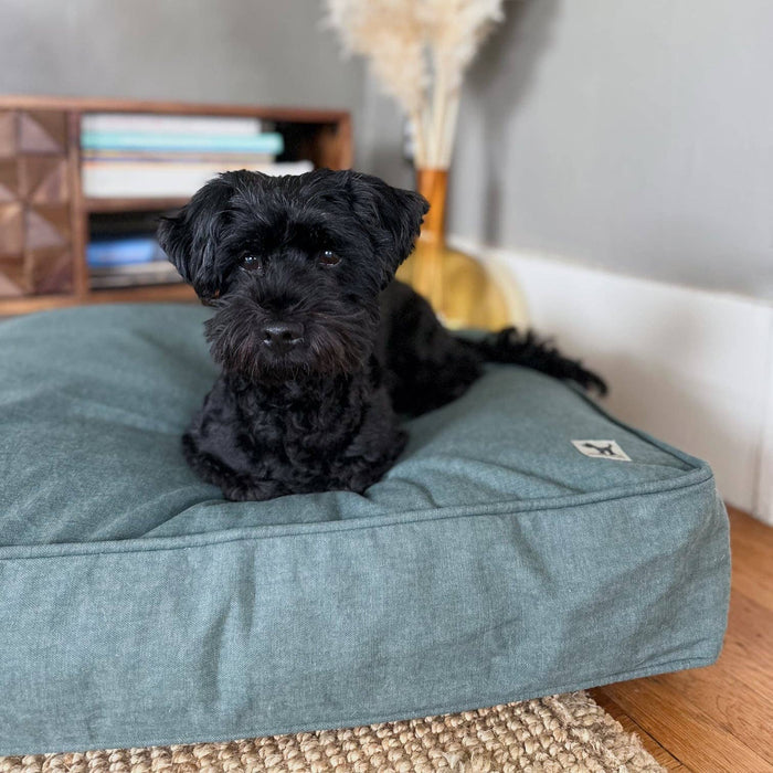 Molly Mutt - Quiet Light Organic Cotton Dog Duvet - Dog.Dog.Cat.