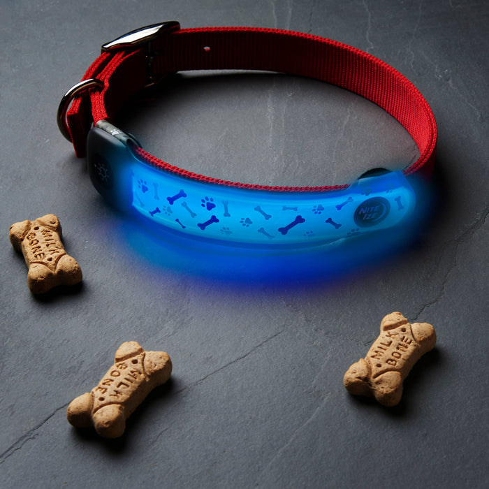 Nite Ize NiteDog Rechargeable LED Collar Cover Disc-O Select - Dog.Dog.Cat.