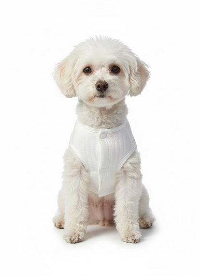 Dog Vest Teddy Bear Onboard - Dog.Dog.Cat.