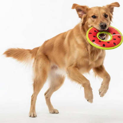 Bark Super Chewer Melon Med/Lrg Glider Dog Toy - Dog.Dog.Cat.