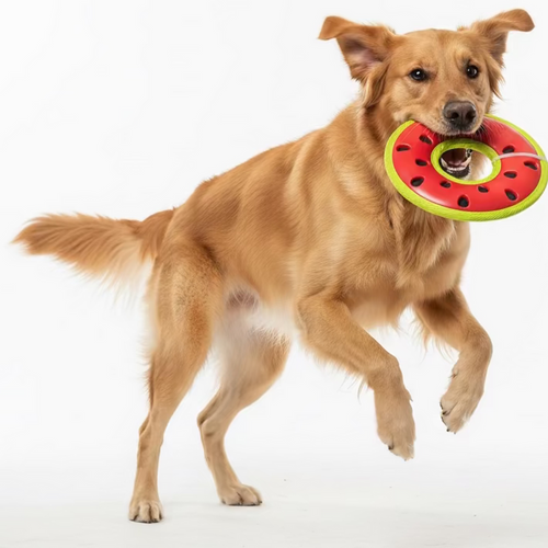 Bark Super Chewer Melon Med/Lrg Glider Dog Toy - Dog.Dog.Cat.