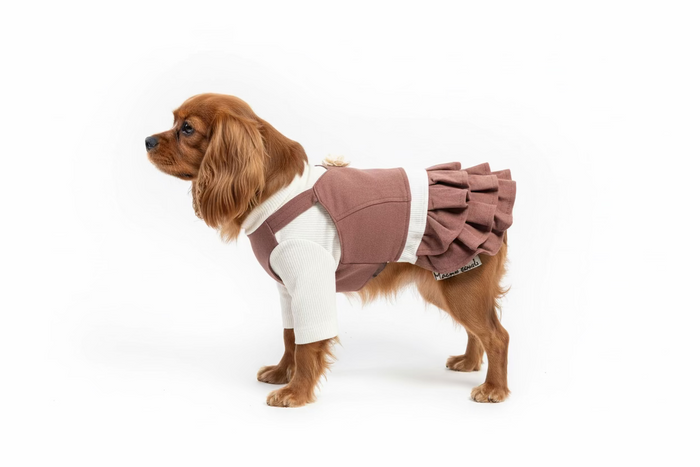 Dog Dress - Brown Strap with Flower Brooch - Dog.Dog.Cat.