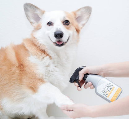 Pet Palette Distribution - Absorbine Pet - Silver Honey Hot Spot & Wound Spray 8 fl oz - Dog.Dog.Cat.
