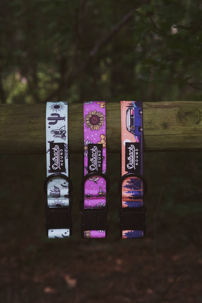 Agave Dog Collar - Dog.Dog.Cat.