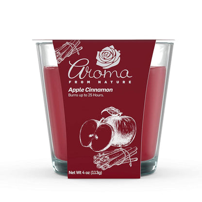 AIRECARE AROMA DOUBLE WICK CANDLE APPLE CINNAMON 1CT - AADWCAC1CT