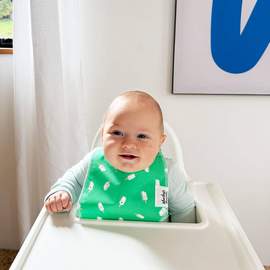 Baby Bib: Timeless Prints