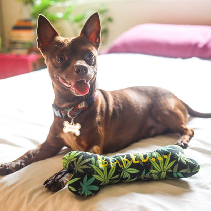 Baked Bone Dog Toy - Dog.Dog.Cat.