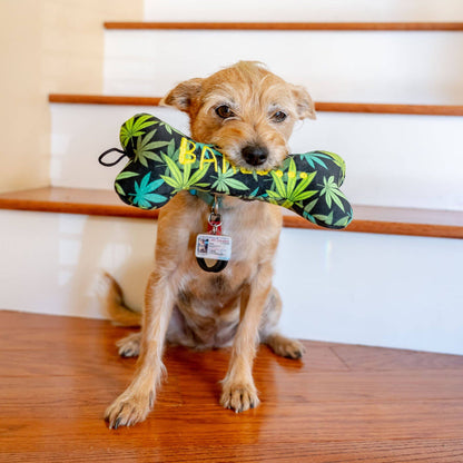 Baked Bone Dog Toy - Dog.Dog.Cat.