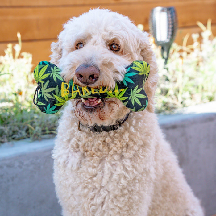 Baked Bone Dog Toy - Dog.Dog.Cat.