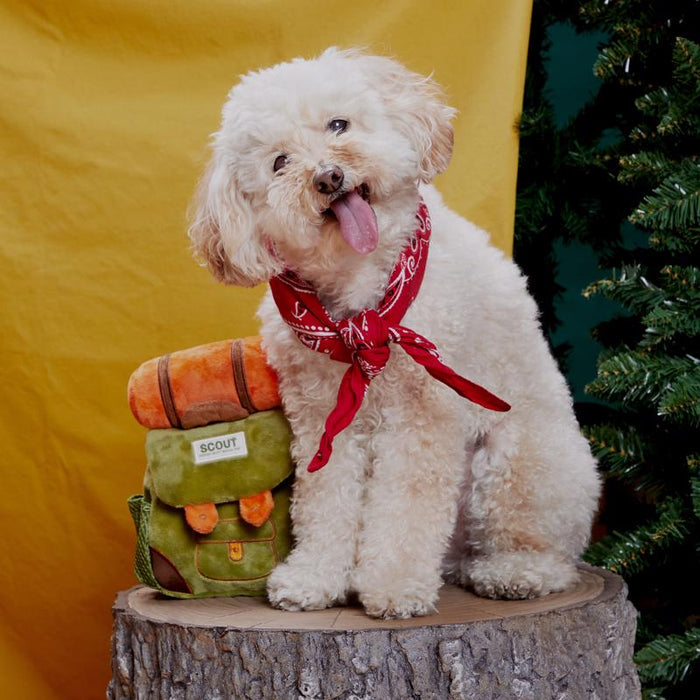 Bark Rowdy Ruckus Rucksack Plush Dog Toy Small / Medium - Dog.Dog.Cat.