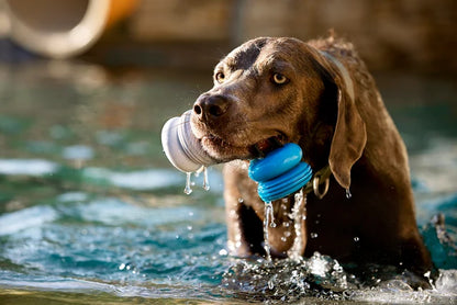 Bark Super Chewer Buoy Tug Med/Lrg - Dog.Dog.Cat.