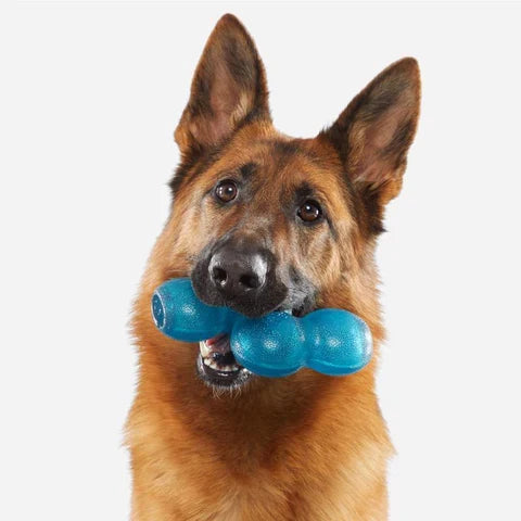 Bark Super Chewer Treat Giver Dog Toy - Dog.Dog.Cat.
