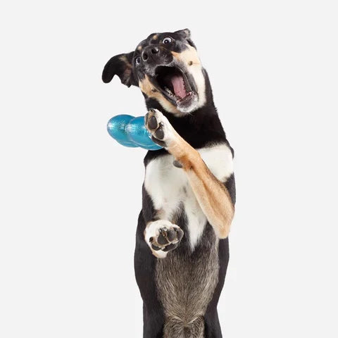 Bark Super Chewer Treat Giver Dog Toy - Dog.Dog.Cat.