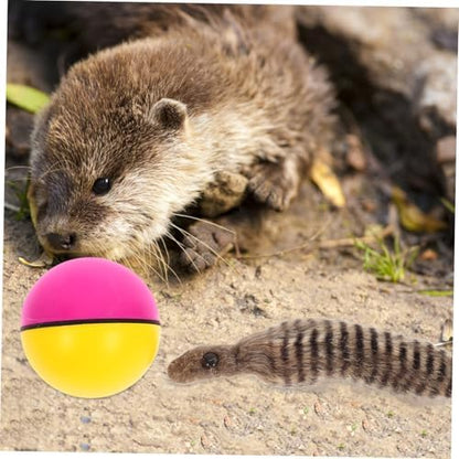 Beavers Ball Dog or Cat Toy - Dog.Dog.Cat.