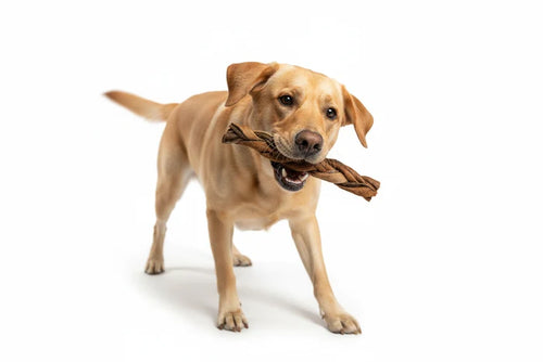 Braided Collagen Dog Chews 12" - Natural Long-Lasting Treats with Fur - Dog.Dog.Cat.
