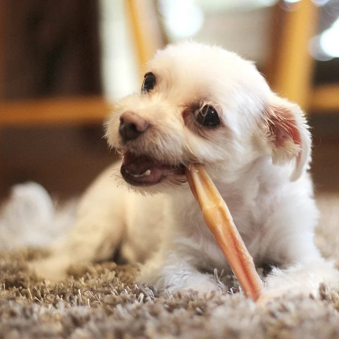 Bully Sticks by the Bag-No Odor 6" : 16 oz - Dog.Dog.Cat.