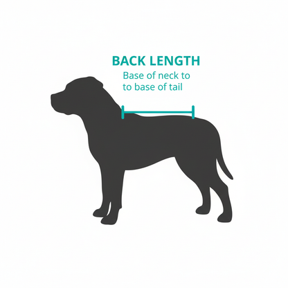 Dog Back Length Measurement Guide