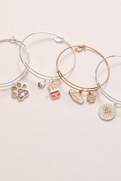 Cat Mom Charm Bangle