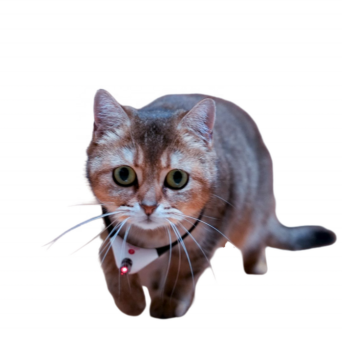 Cat Toy Laser Pointer Collar - Dog.Dog.Cat.