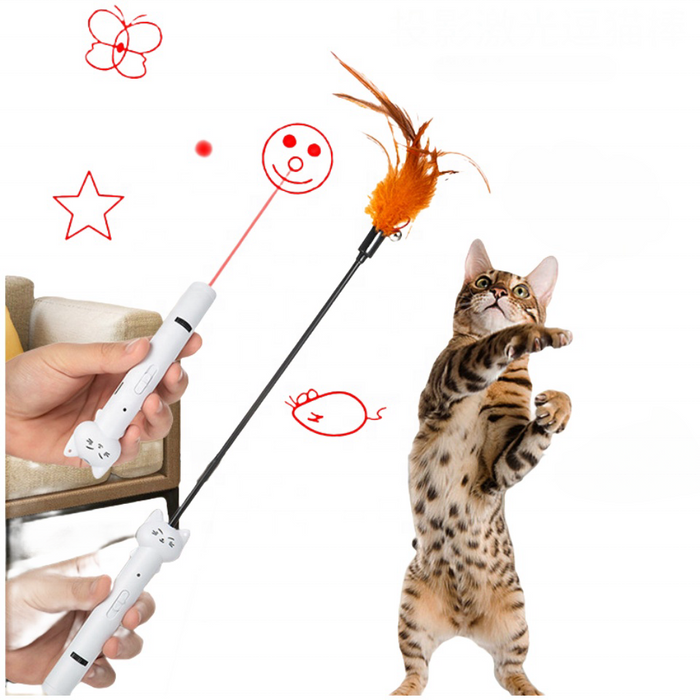 Cat Toy Multi-Function Laser and Feather Toy - Dog.Dog.Cat.