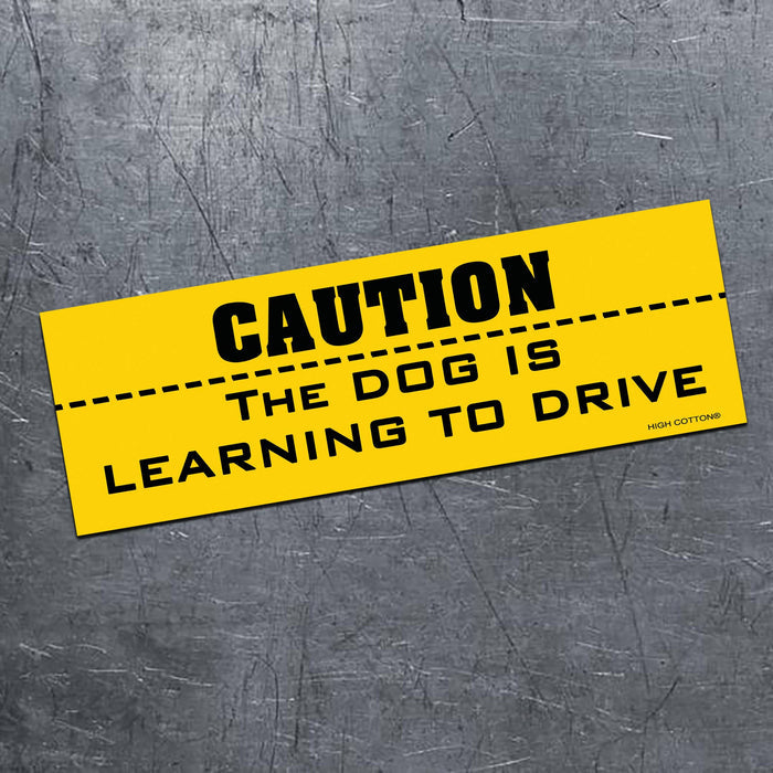 High Cotton Gifts - CAUTION -  Dog is Learning to Drive magnet - Dog.Dog.Cat.