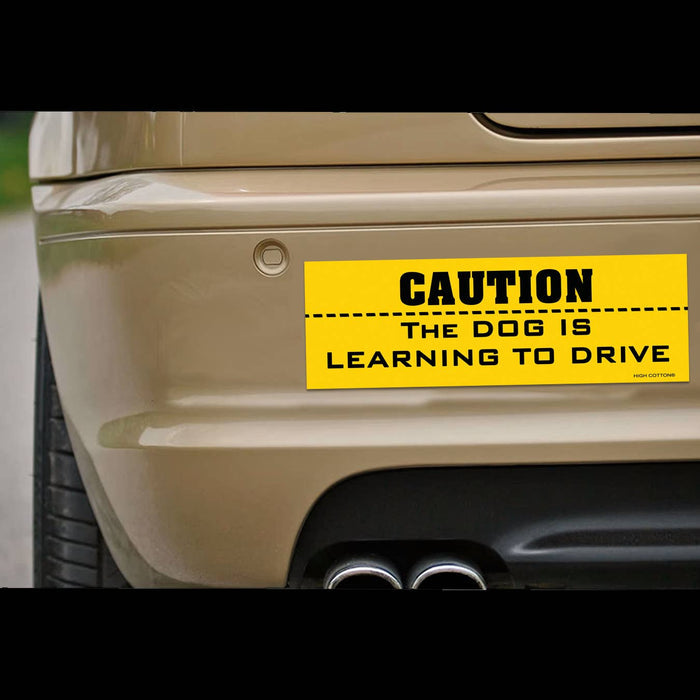 High Cotton Gifts - CAUTION -  Dog is Learning to Drive magnet - Dog.Dog.Cat.