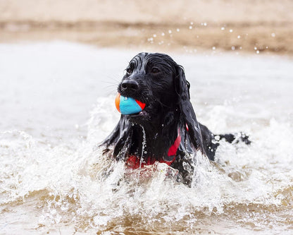 Chuckit! Amphibious Balls - Dog.Dog.Cat.