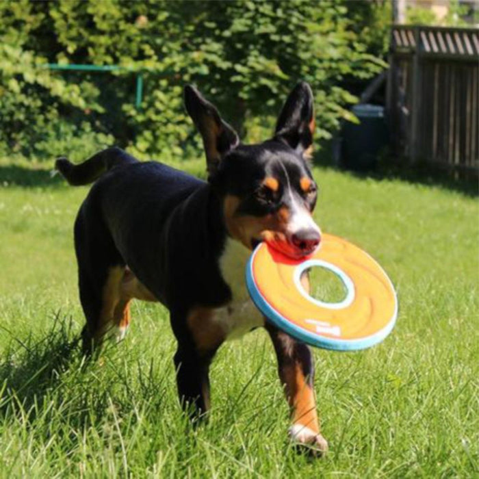 Chuckit! Amphibious Zip Flight - Dog.Dog.Cat.