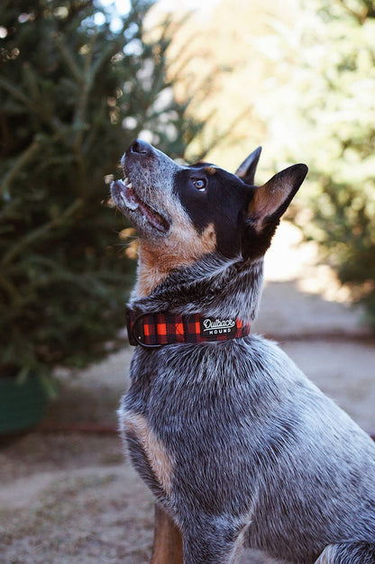 Outback Hound - Classic Plaid Dog Collar - Dog.Dog.Cat.