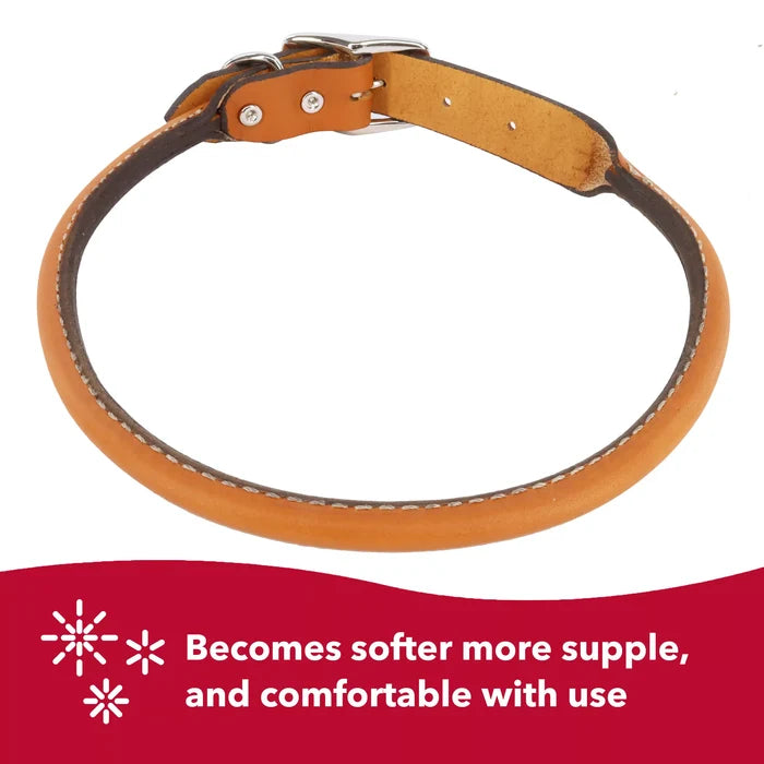 Coastal Pet Circle T Round Leather Dog Collar - Rolled Leather - Dog.Dog.Cat.