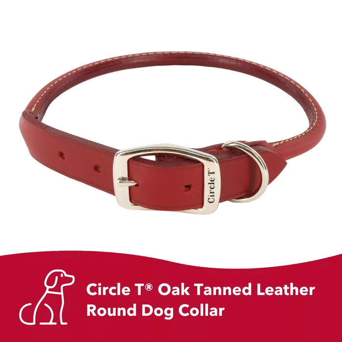 Coastal Pet Circle T Round Leather Dog Collar - Rolled Leather - Dog.Dog.Cat.