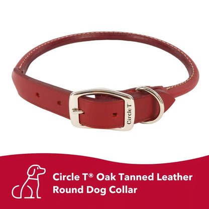 Coastal Pet Circle T Round Leather Dog Collar - Rolled Leather - Dog.Dog.Cat.