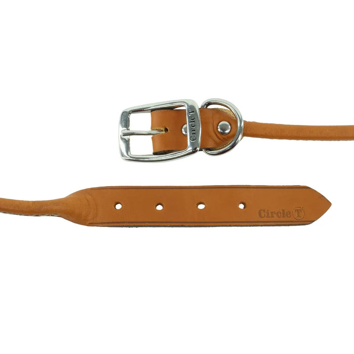 Coastal Pet Circle T Round Leather Dog Collar - Rolled Leather - Dog.Dog.Cat.