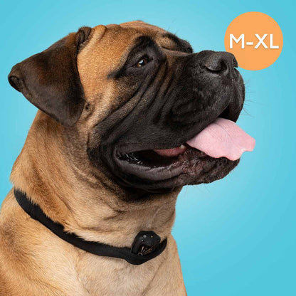 Collar Science Bark Collar - Humane Anti-Bark Training Device for Dogs - Dog.Dog.Cat.