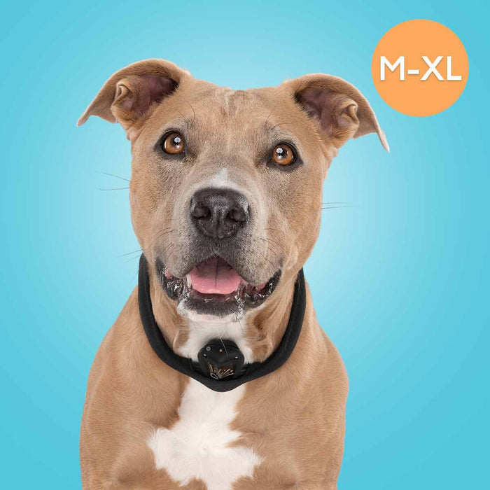 Collar Science Bark Collar - Humane Anti-Bark Training Device for Dogs - Dog.Dog.Cat.