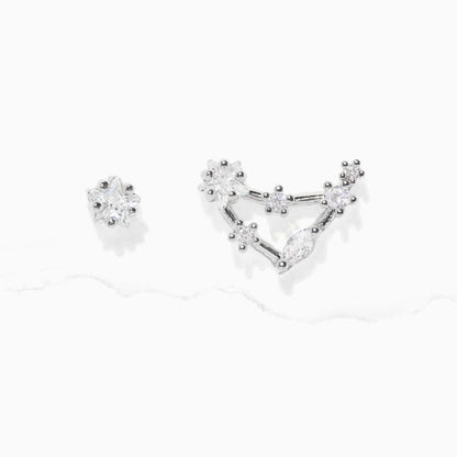 Silver / Capricorn