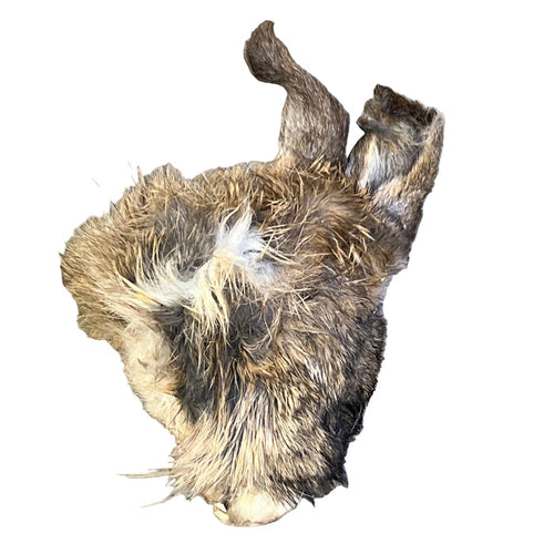 Rabbit Head - Whole - Dog.Dog.Cat.