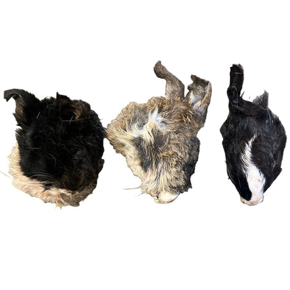 Rabbit Head - Whole - Dog.Dog.Cat.