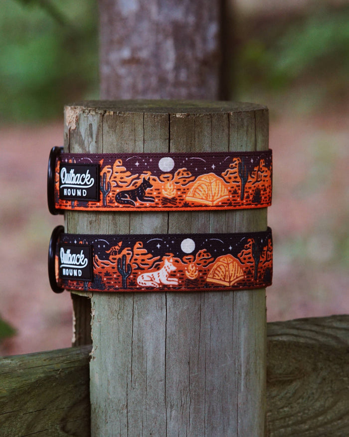 Desert Camp Out Dog Collar- Maroon - Dog.Dog.Cat.