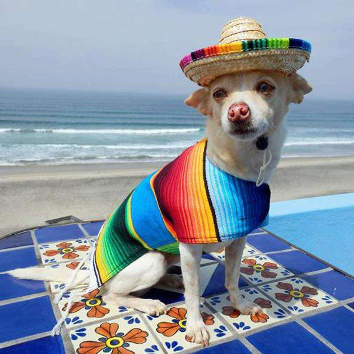 Dog Straw Sombrero Hat - Adjustable Fit - Dog.Dog.Cat.