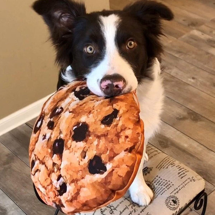Doggijuana Get Munchies Chocolate Chip Toy - Dog.Dog.Cat.
