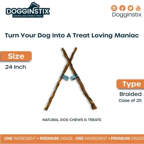 Dogginstix - 24" Braided Lamb Collagen Sticks - Dog.Dog.Cat.