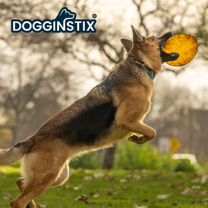 Dogginstix Beef Collagen UFO Frisbee Disc - Long-Lasting Dental Chew Toy - Dog.Dog.Cat.