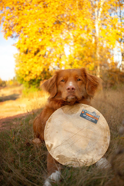 Dogginstix Beef Collagen UFO Frisbee Disc - Long-Lasting Dental Chew Toy - Dog.Dog.Cat.