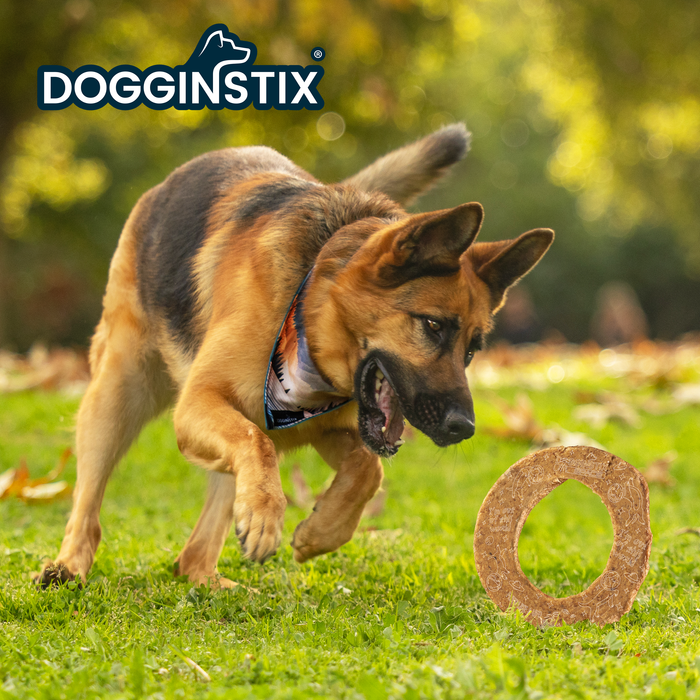 Dogginstix Lamb Collagen Cosmic Donut - Long-Lasting Dental Chew Toy - Dog.Dog.Cat.