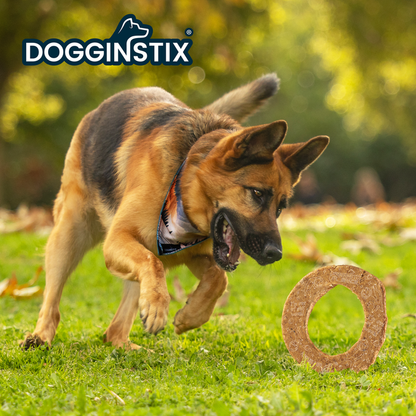 Dogginstix Lamb Collagen Cosmic Donut - Long-Lasting Dental Chew Toy - Dog.Dog.Cat.