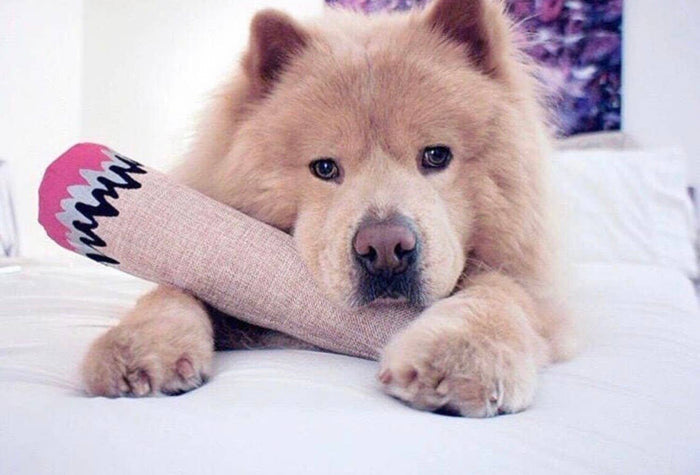 Dooby's Dog Toys - Large Hemp Joint Dog Toy - Dog.Dog.Cat.